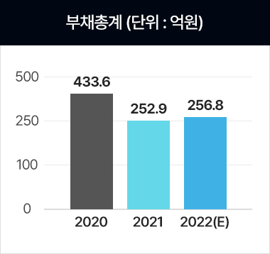 22년 기준 부채총계 256.8억